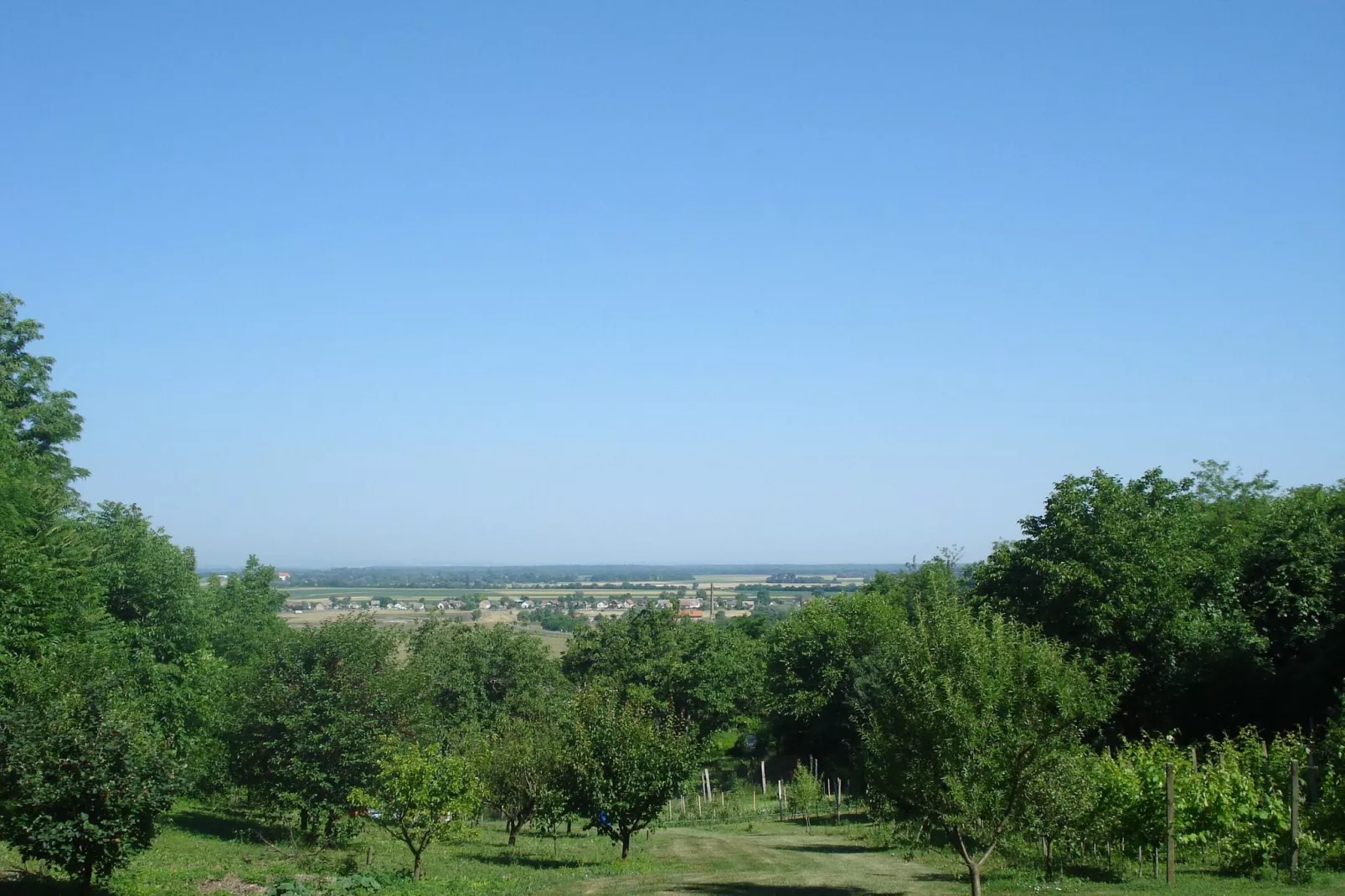 Mikin dol Baranja Country house - Two Bedroom Country House-Gardens summer