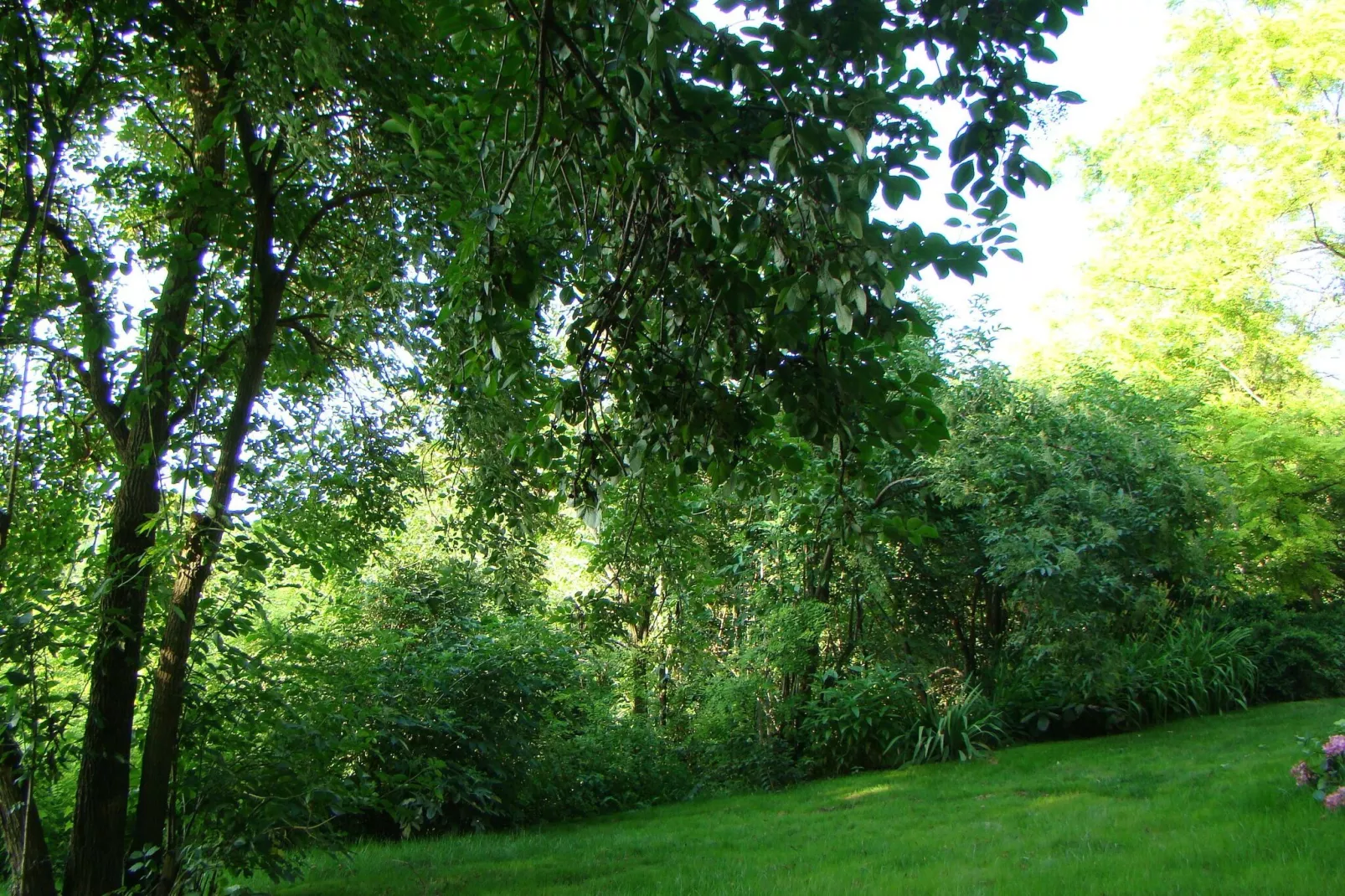 Mikin dol Baranja Country house - Two Bedroom Country House-Gardens summer