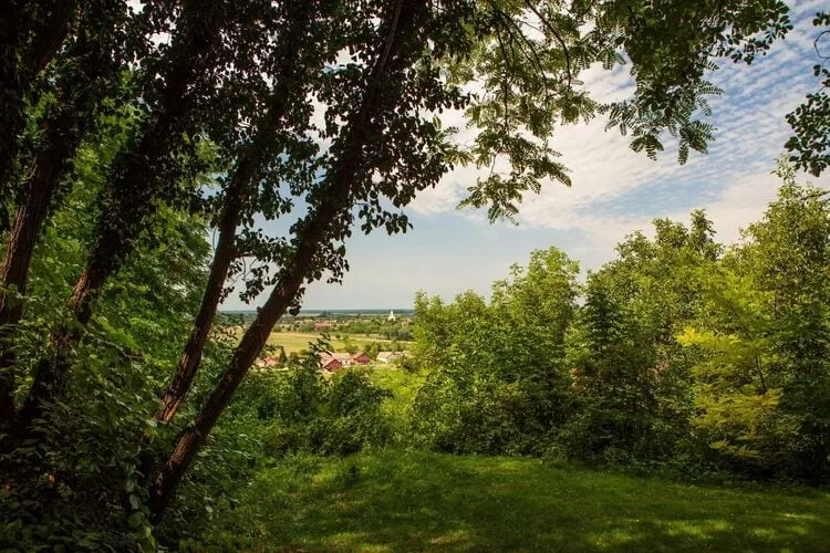 Mikin dol Baranja Country house - Two Bedroom Country House-Outdoor