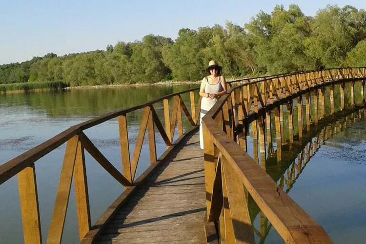 Mikin dol Baranja Country house - Two Bedroom Country House-View