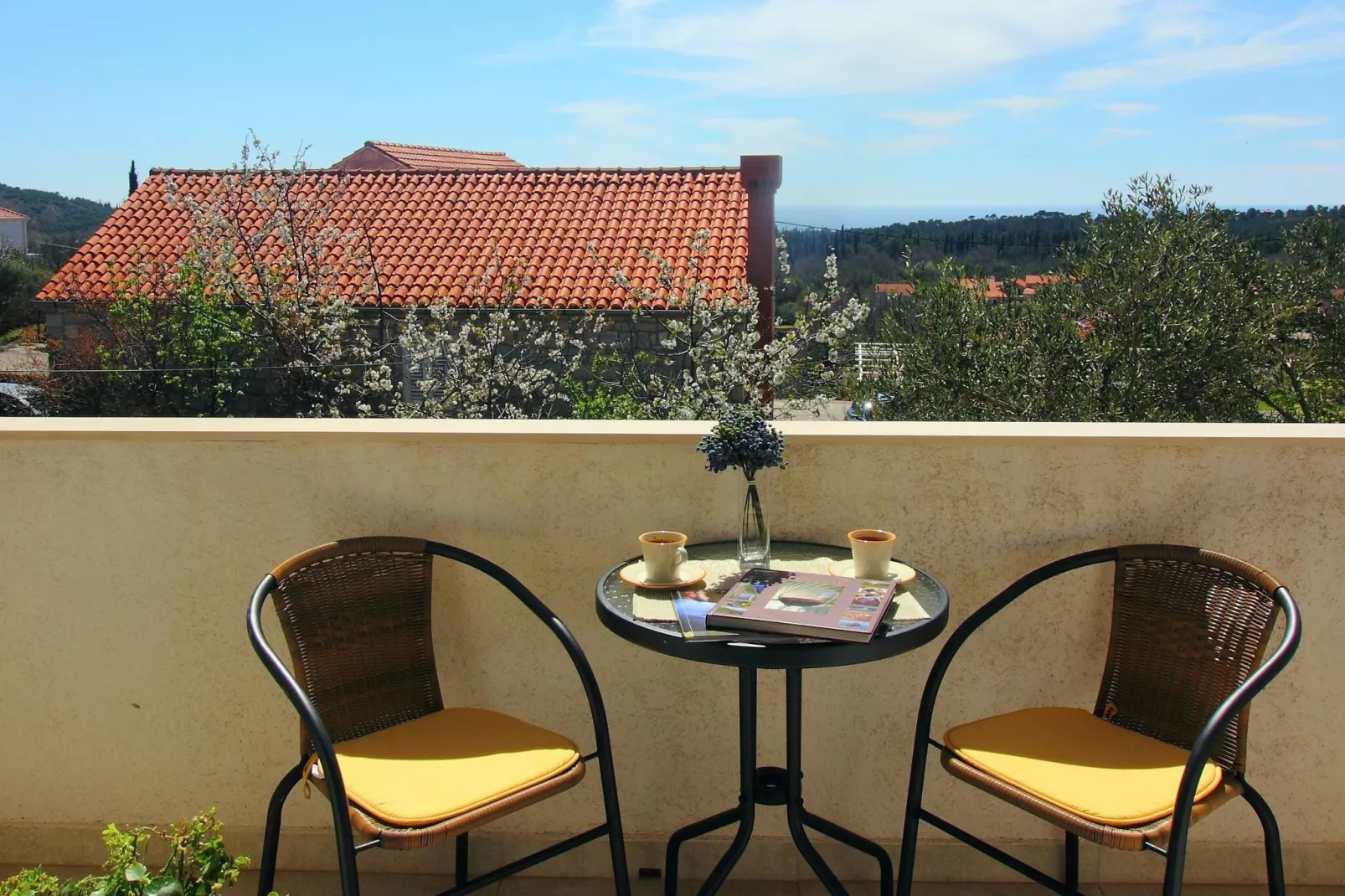 Apartment Milenka - Four Bedroom Apartment with Terrace-Terrace