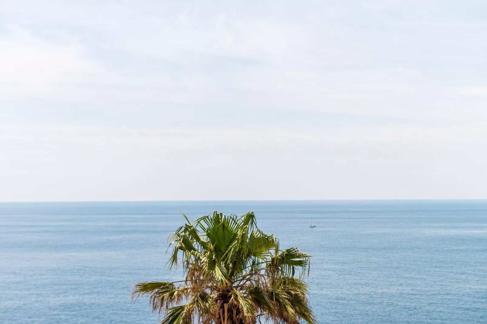 Apartment Petra 14 - Studio Apartment with Balcony and Sea View-Vue
