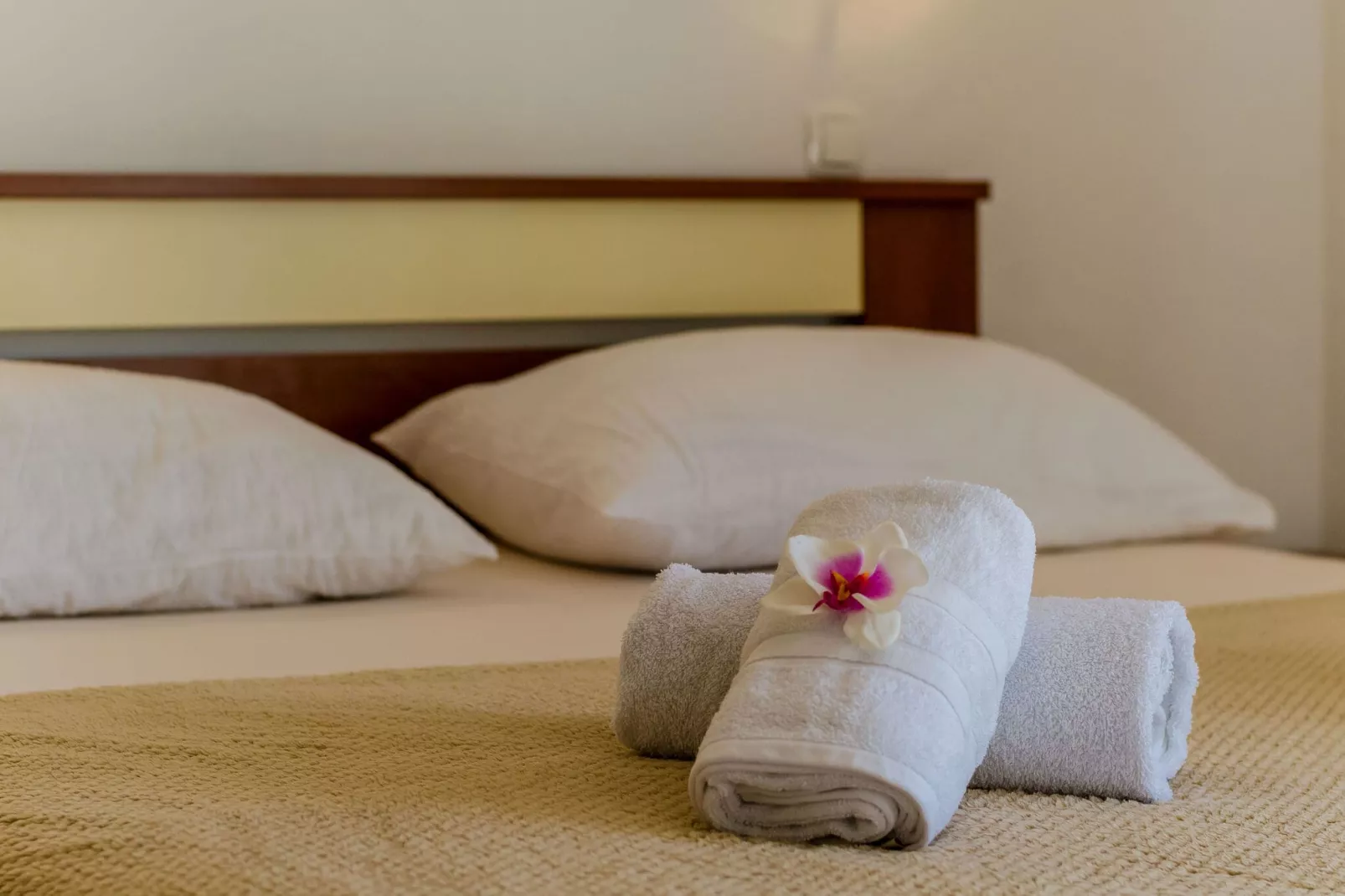 Apartments Cypress Sea Cove - Comfort Studio Apartment with Balcony and Sea View (A1)-Outdoor