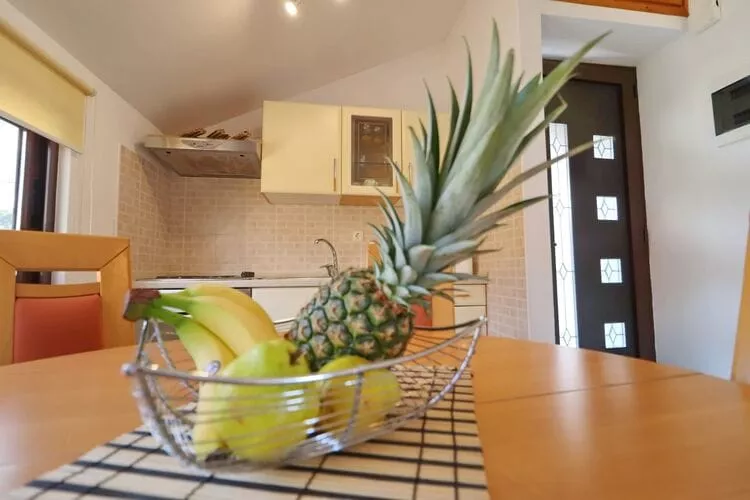 Apartment Josipa  Vela Luka- Studio Apartment with Balcony and Sea View-Indoor