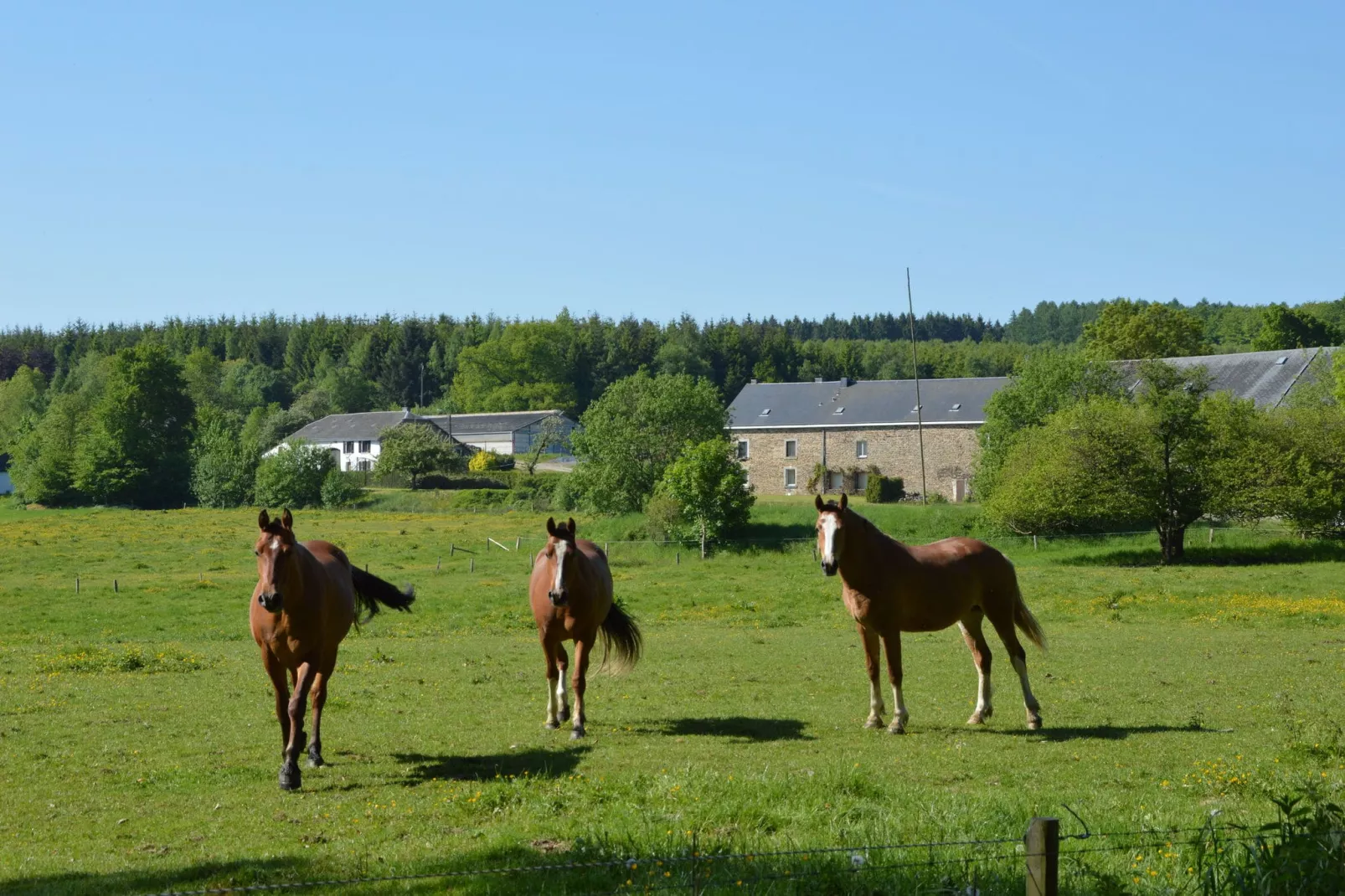 Fermette Erpigny-Areas summer 5km