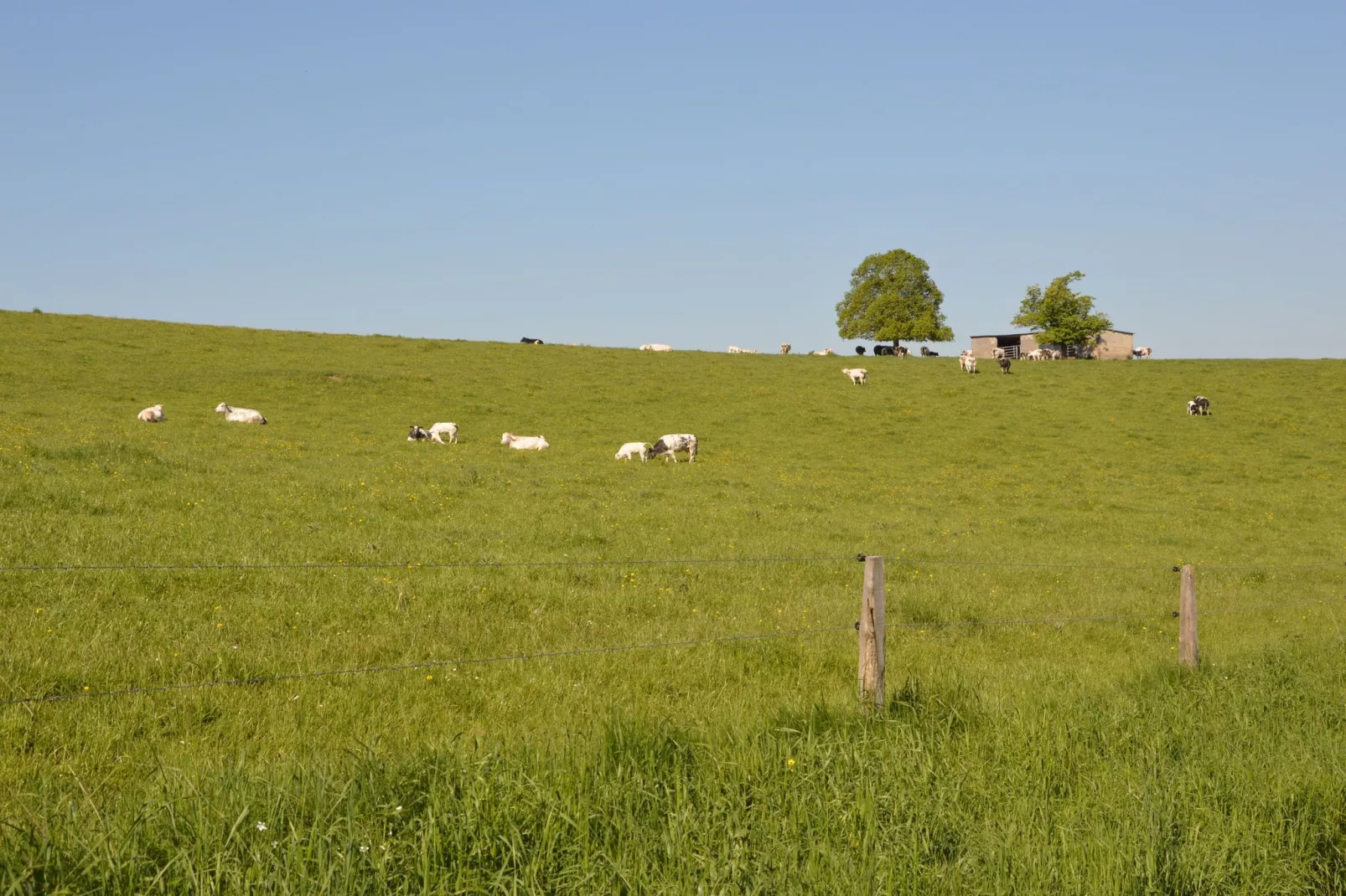 Fermette Erpigny-Areas summer 20km