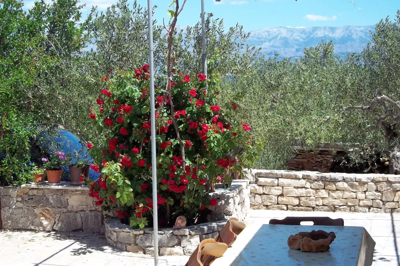 Holiday Home Ruža - Holiday Home with Terrace-Terrasse