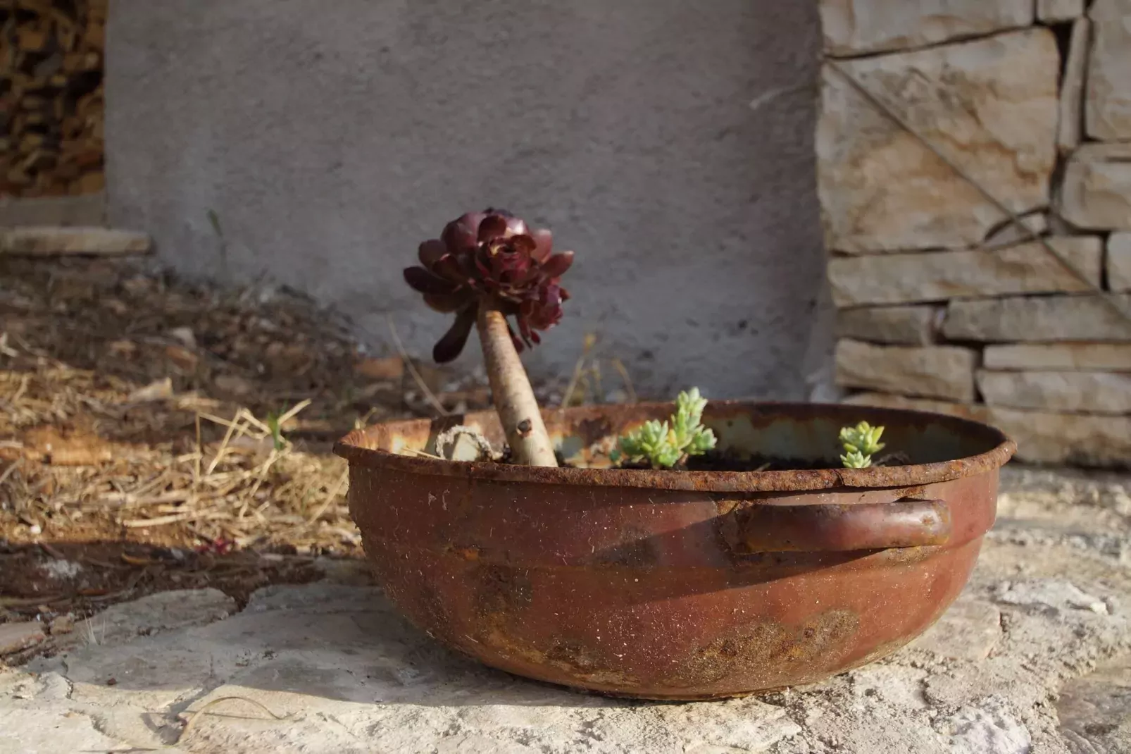 Stone House Mia - Two Bedroom Stone House with Terrace and Sea View-Extérieur