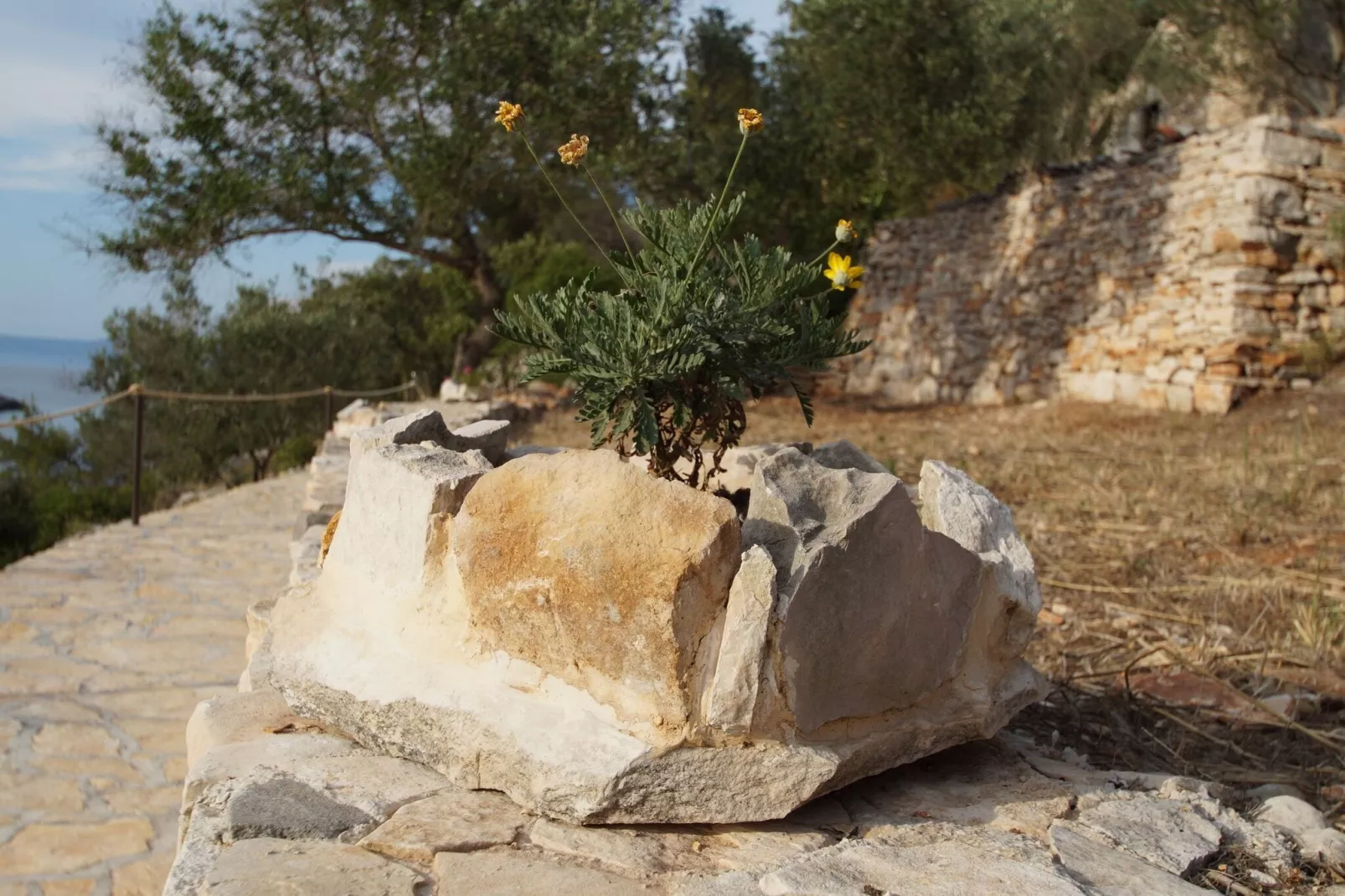 Stone House Mia - Two Bedroom Stone House with Terrace and Sea View-Vue