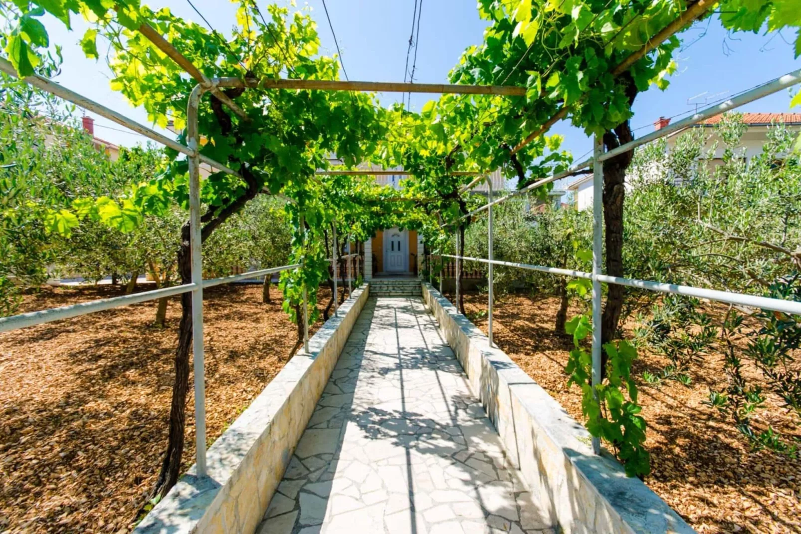 Apartments Ivana (TR) - One Bedroom Apartment with Terrace (A3)-Outdoor
