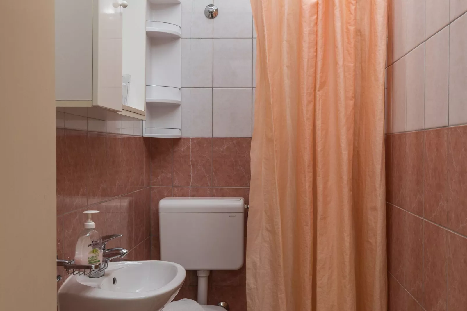 Begović Guest House - Twin Room (Judy)-Bathroom