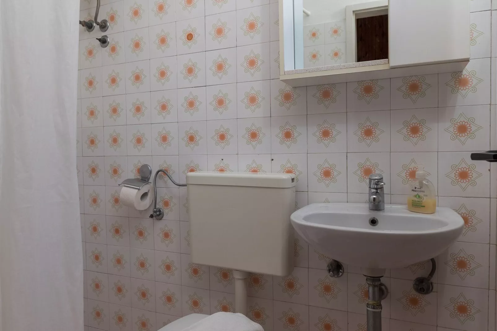 Begović Guest House - Standard Twin Room (Beatriz)-Bathroom