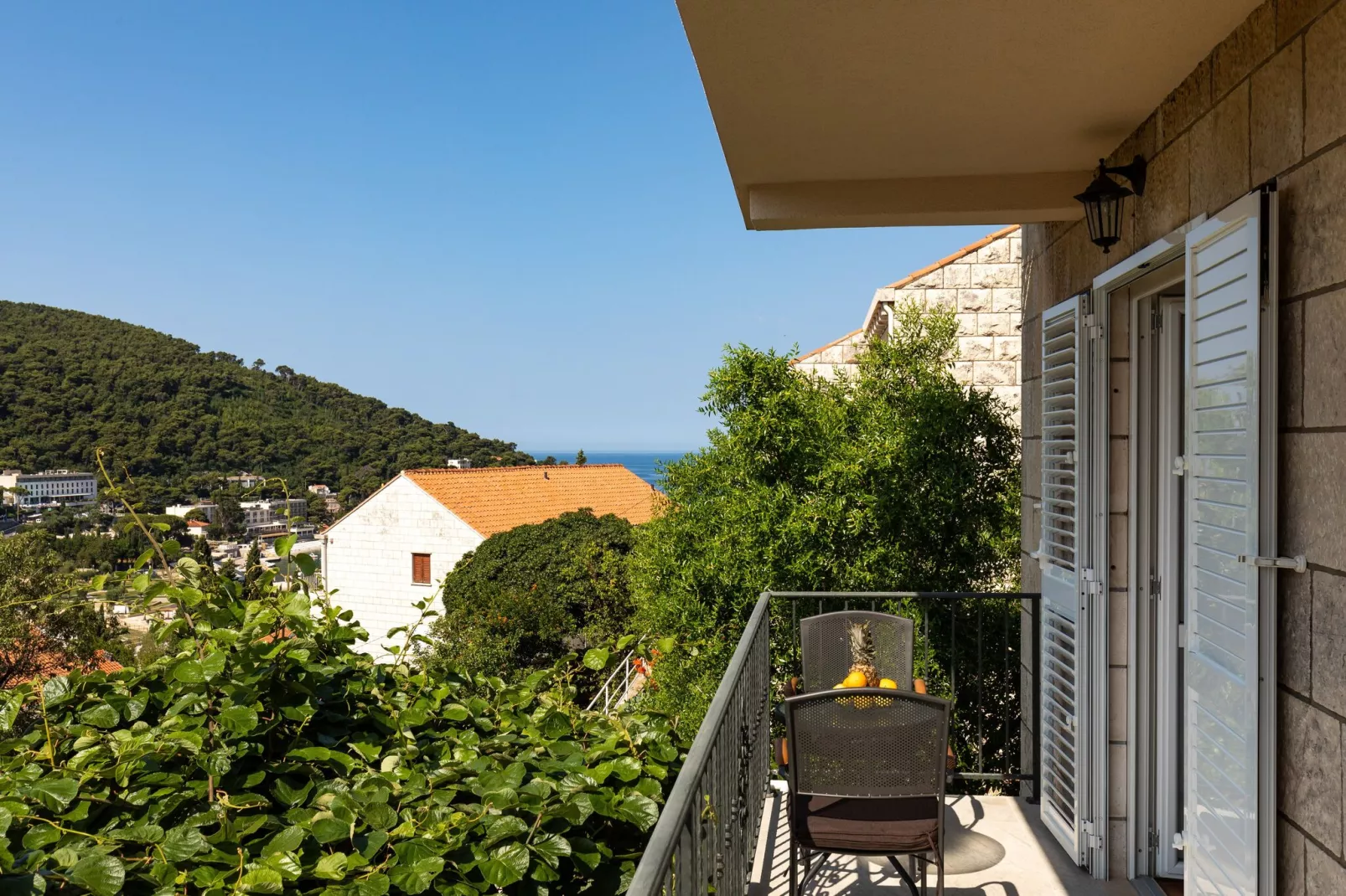 Begović Guest House - Two-Bedroom Suite with Balcony-Terrace balcony