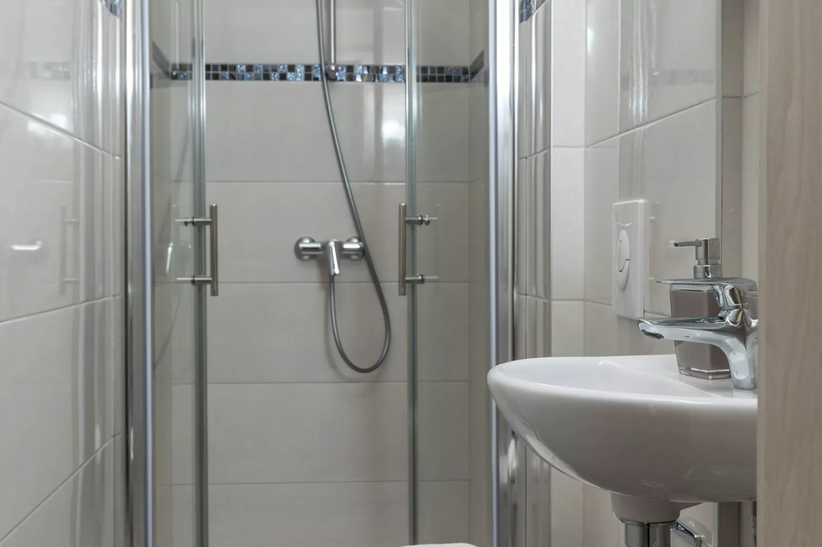 Begović Guest House - One-Bedroom Apartment (EKV)-Bathroom