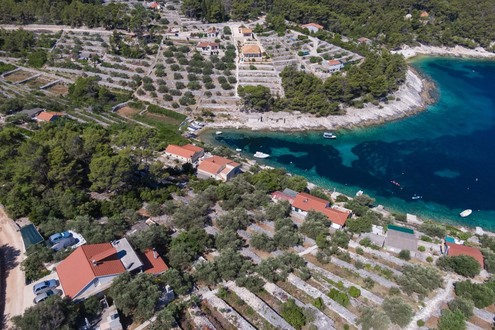 Olive's Garden House - Three Bedroom Holiday Home with Terrace and Sea View-Vue