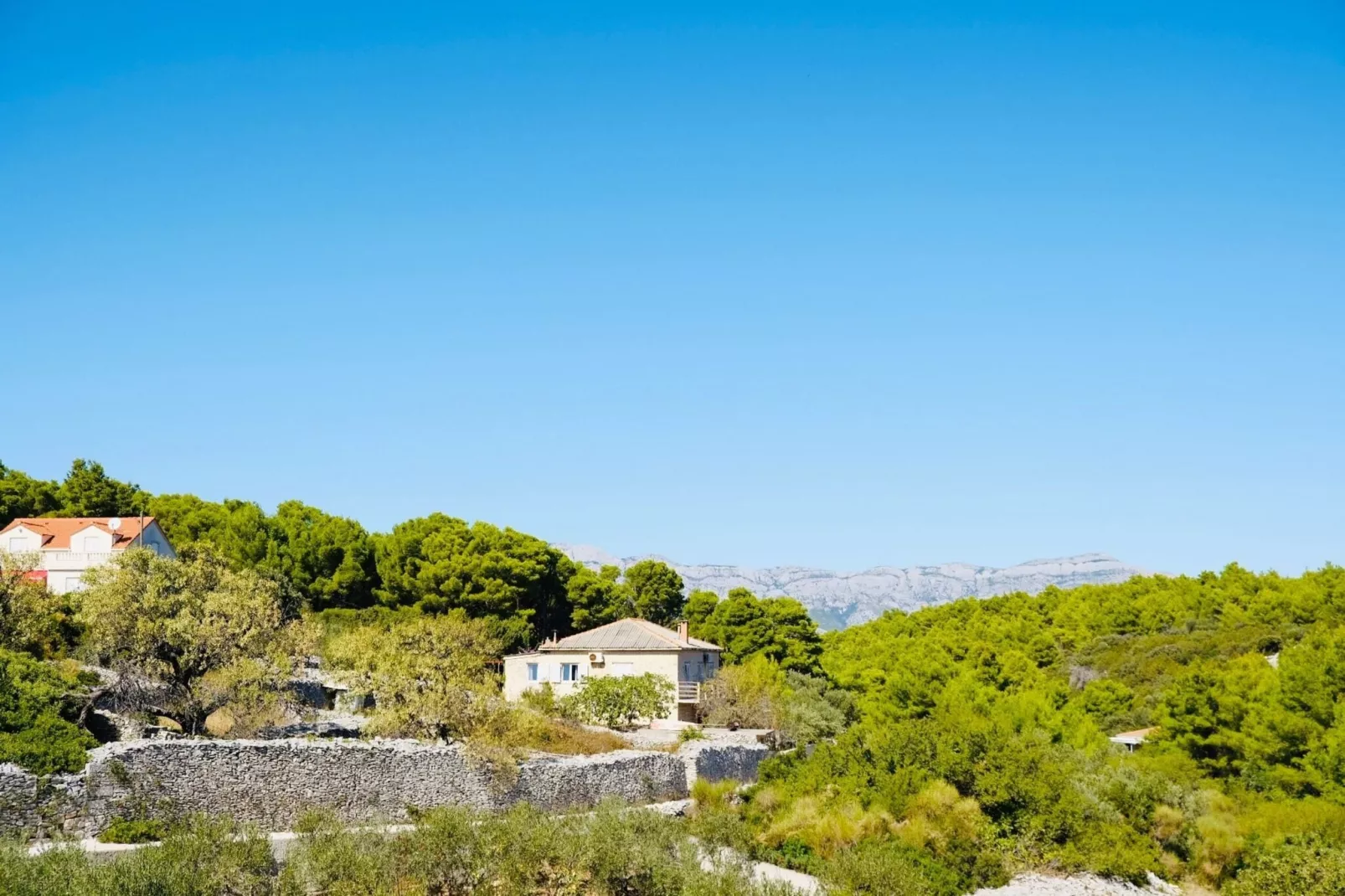 Villa Tonika -Two Bedroom Apartment with Terrace ( A1 )-Extérieur