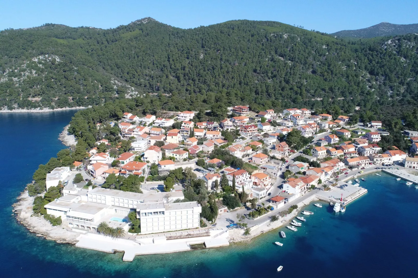 Apartments Peselj-Studio Apartment with Balcony and Sea View ( 1 )-View