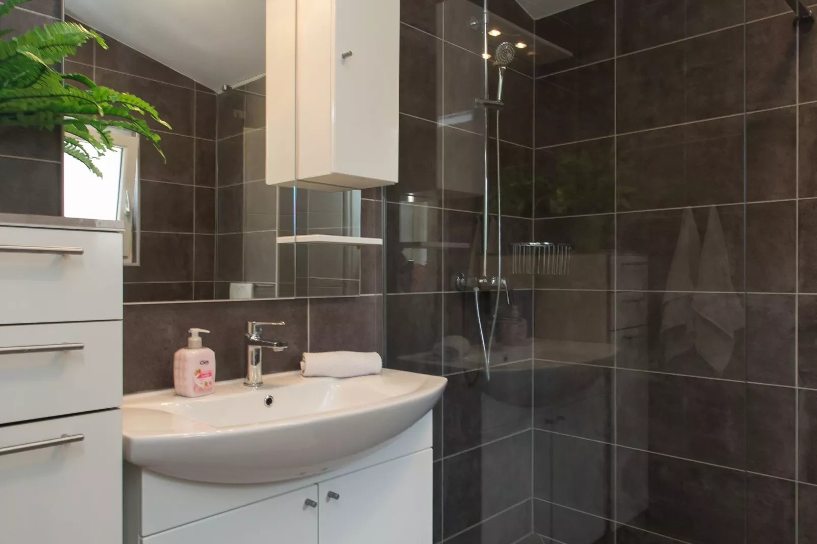 Villa Tomic - Four-Bedroom Villa with Private Pool-Bathroom
