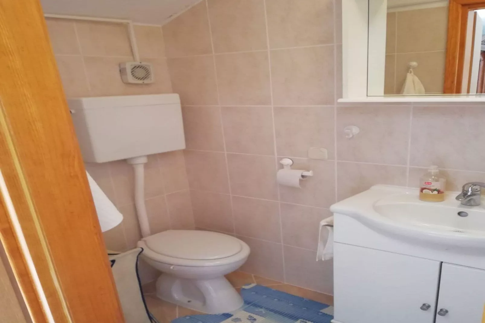 Apartments Agava & Lucija-Studio Apartment(First Floor)-Salle de bain