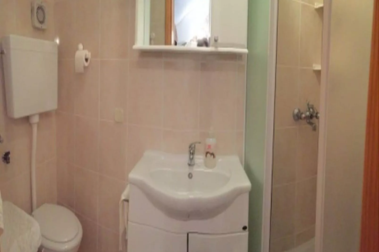 Apartments Agava & Lucija-Studio Apartment(First Floor)-Salle de bain