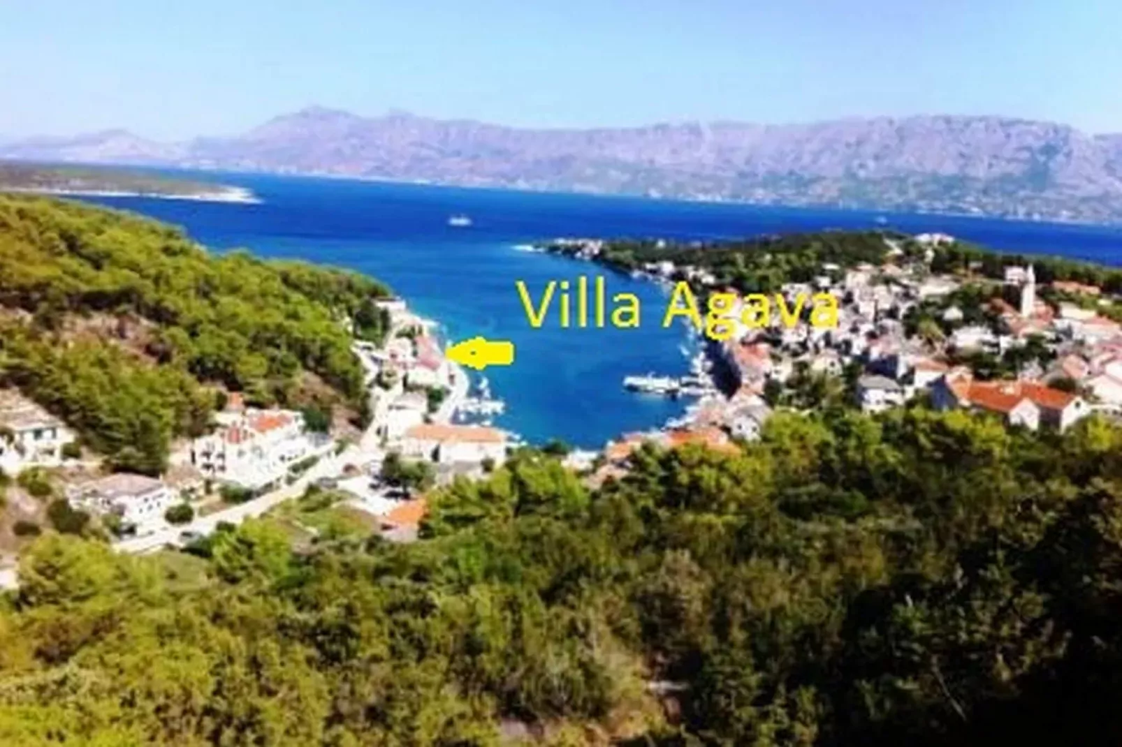 Apartments Agava & Lucija-Studio Apartment(First Floor)-Vue