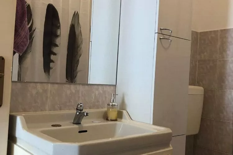 Apartment Ema - One Bedroom Apartment with Balcony-Salle de bain