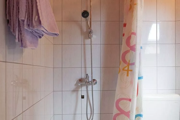 Guesthouse Žafran- Two Bedroom Apartment-Bathroom