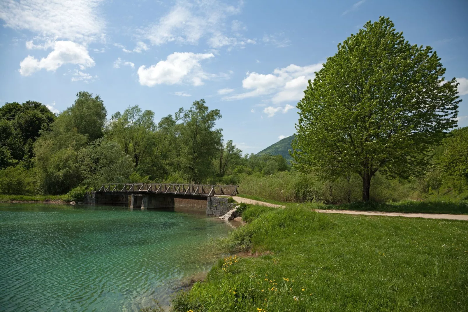 Guesthouse Žafran- Two Bedroom Apartment-View