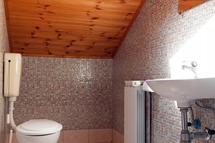 Guesthouse Žafran- Double Room With Terrace-Bathroom