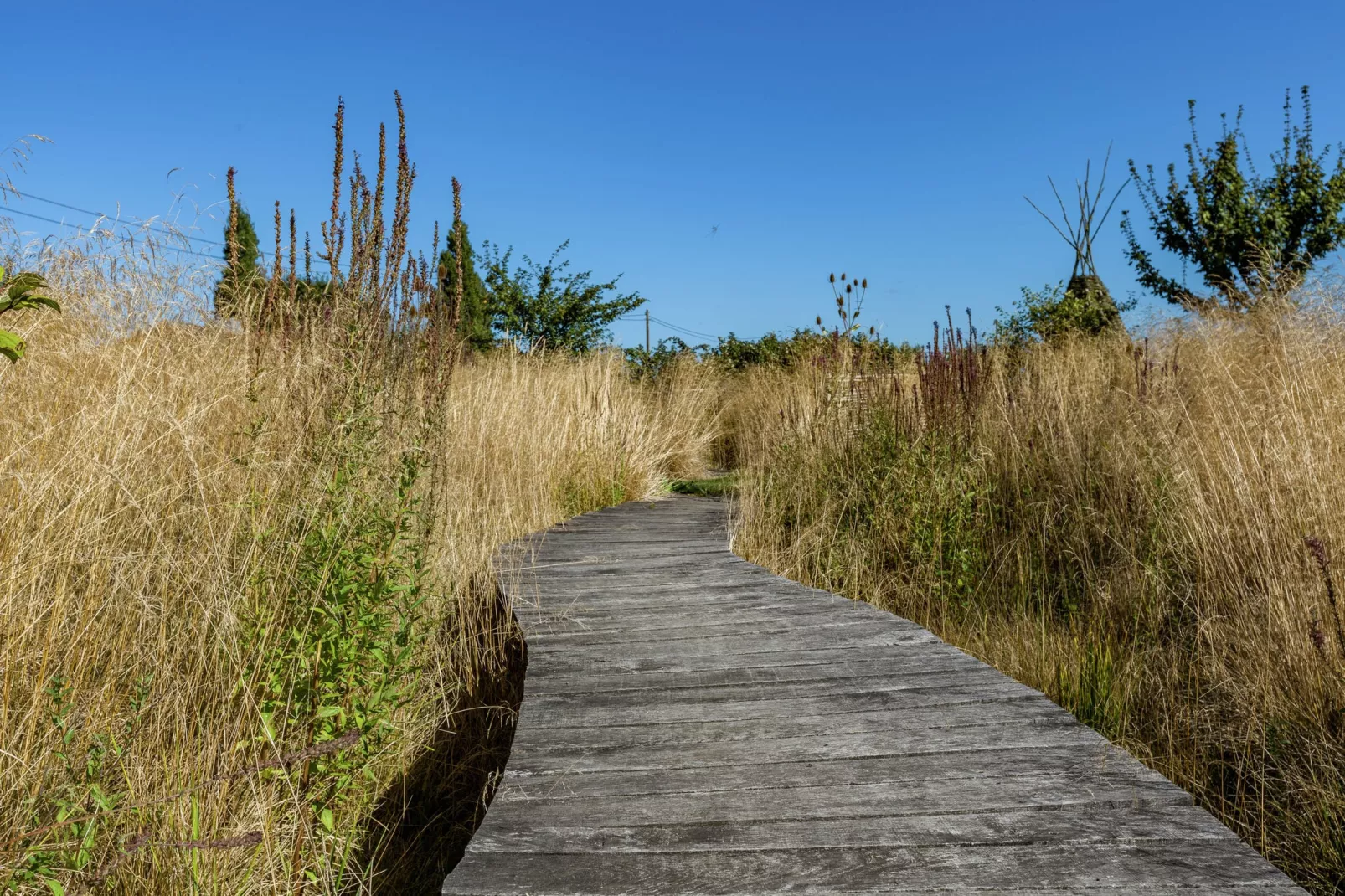 't Patershuys-Gebiete Sommer 1 km