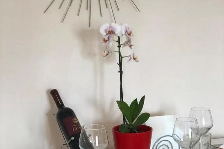 SunOne Dubrovnik - One Bedroom Apartment with Terrace-Indoor