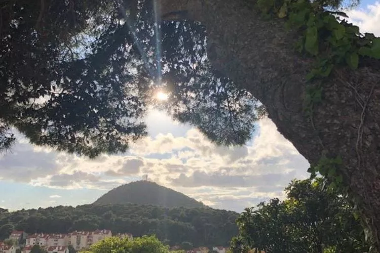SunOne Dubrovnik - One Bedroom Apartment with Terrace-View