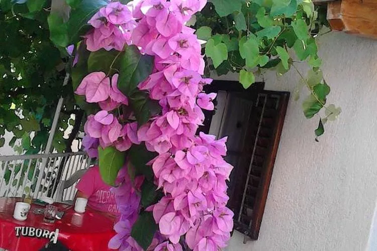 Zora Holiday home - Two Bedroom Holiday Home with Terrace-Outdoor