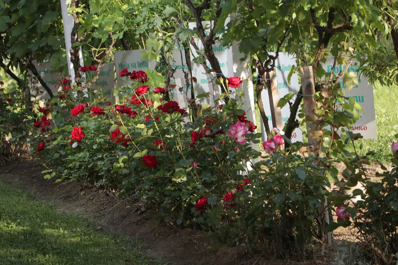 Apartment Amigo - Two Bedroom Apartment with Terrace and swimming pool-Gardens summer