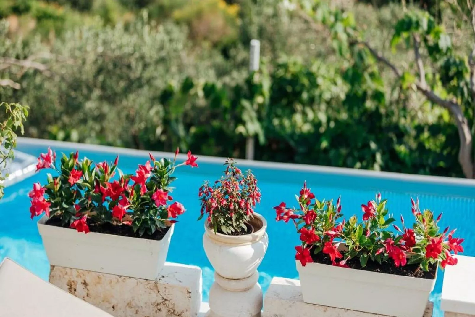 Cottage Ciara - One bedroom Holiday Home with pool and sea view-Pool