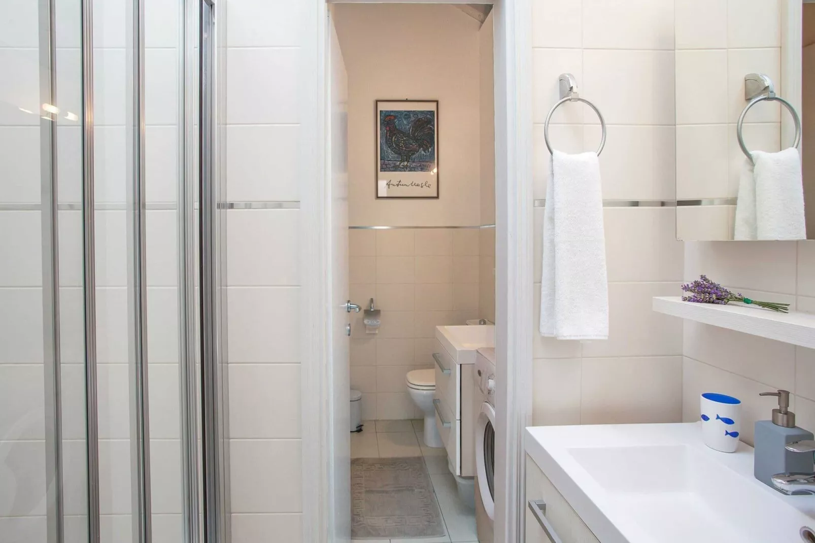 Apartments Maro & Baro - One bedroom apartment with Terrace (Orfej)-Bathroom
