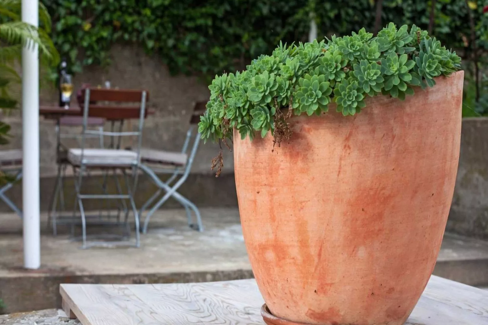 Apartments Maro & Baro - One bedroom apartment with Terrace (Orfej)-Gardens summer