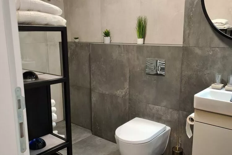 Wellness Apartments - Studio Apartment with Terrace (G3)-Bathroom