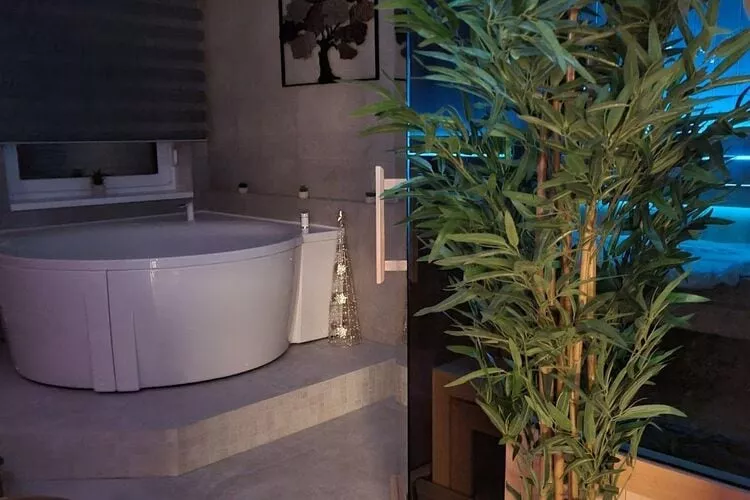 Wellness Apartments - Studio Apartment with Terrace (G3)-Bathroom