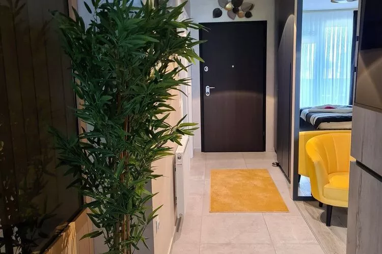 Wellness Apartments - Studio Apartment with Terrace (G3)-Indoor