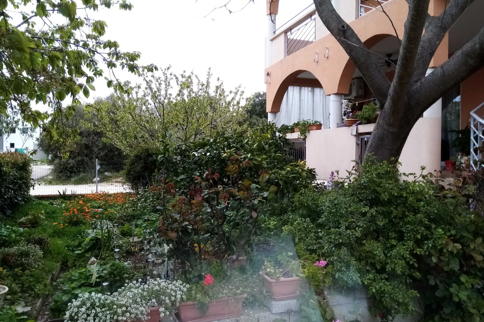 Apartments Vanja Škara Biograd - Studio Apartment with Terrace-Gardens summer