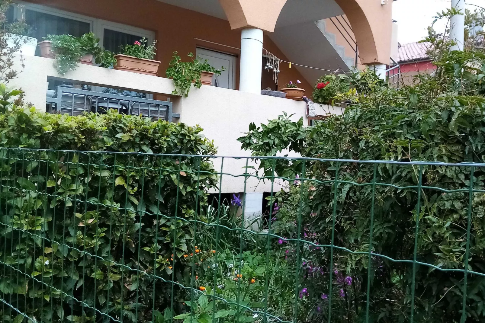 Apartments Vanja Škara Biograd - Studio Apartment with Terrace-Outdoor
