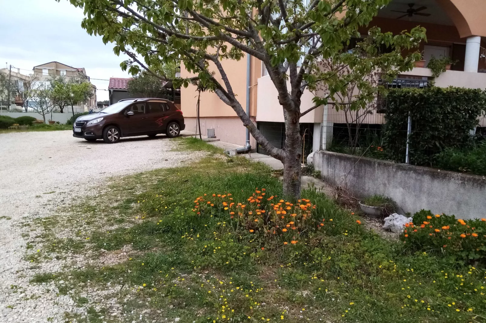 Apartments Vanja Škara Biograd - Studio Apartment with Terrace-Parking