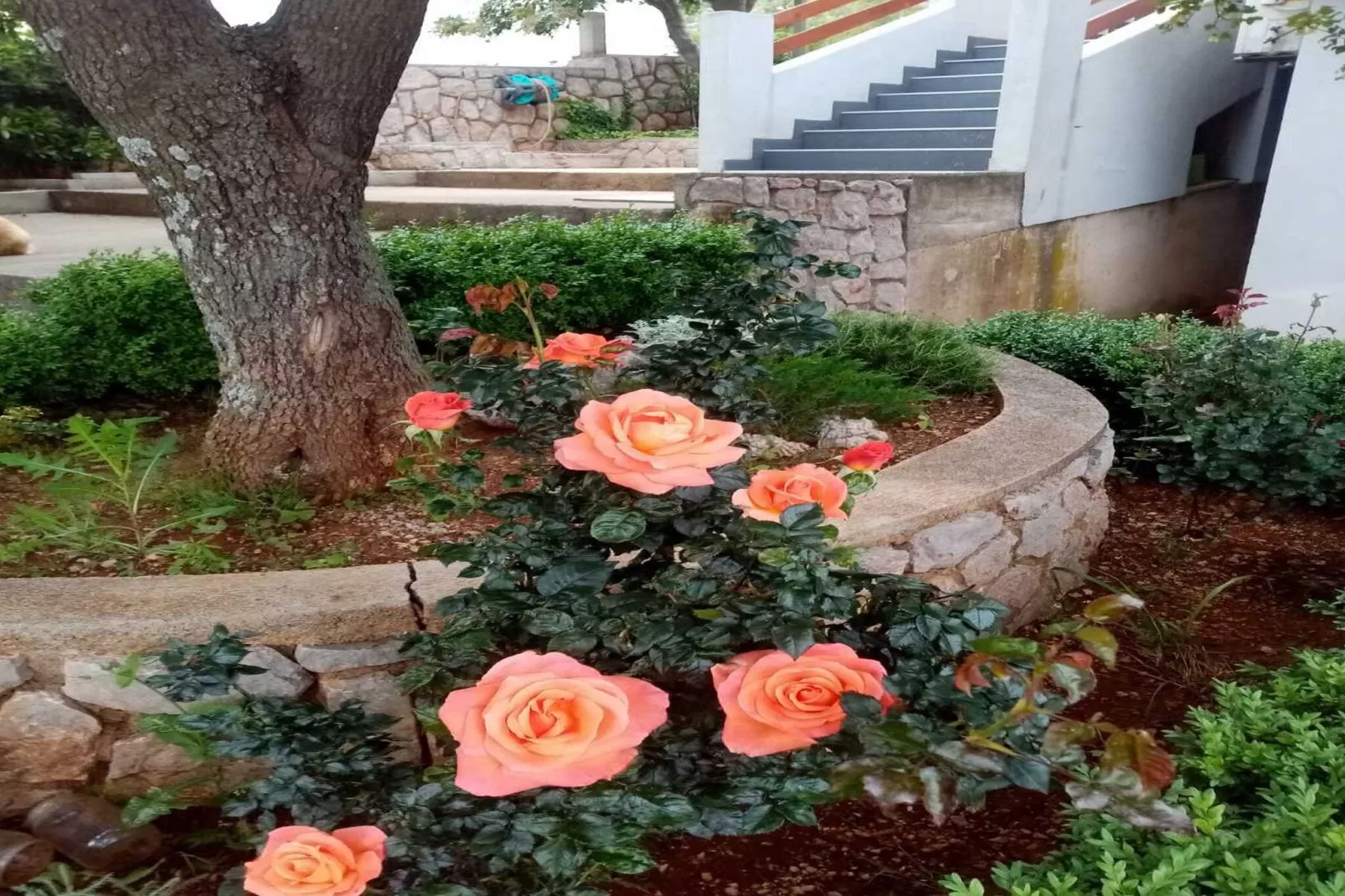 Apartments Paola - Studio Apartment with Terrace and Sea View-Gardens summer