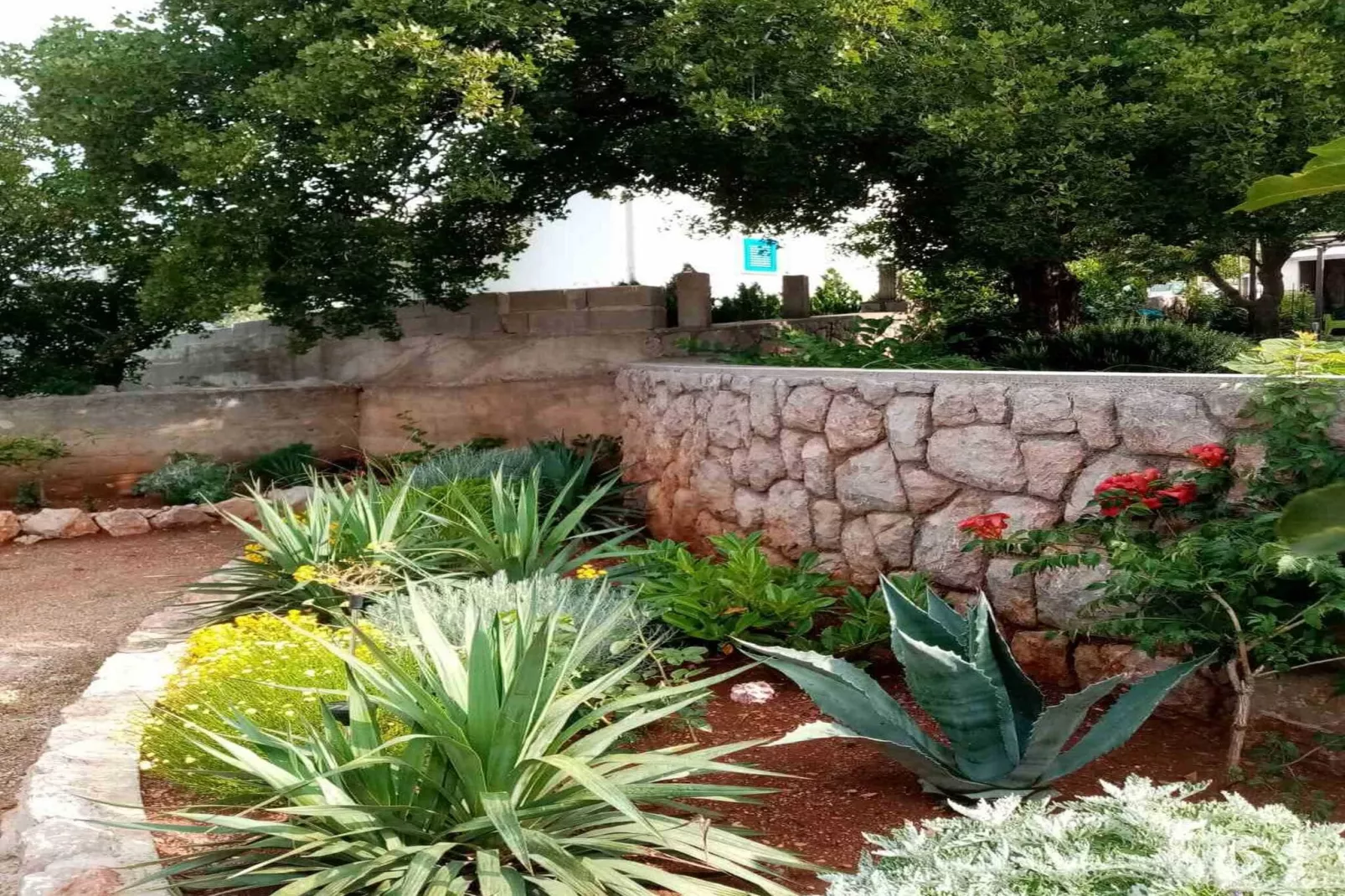 Apartments Paola - Two Bedroom Apartment with Terrace and Sea view-Gardens summer