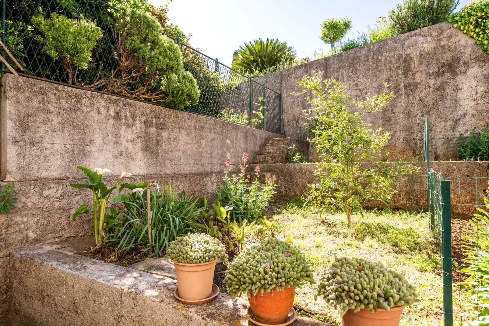 Apartment Kos - Two Bedroom Apartment with Terrace-Gardens summer
