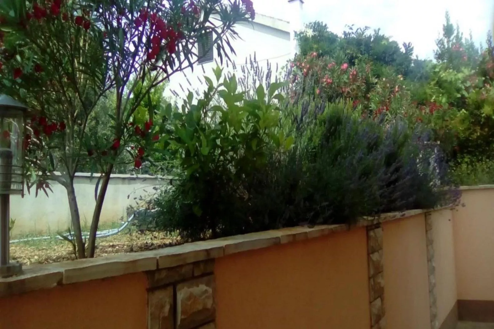 Apartments Vala - Studio Apartment with Sea View A5-Gardens summer