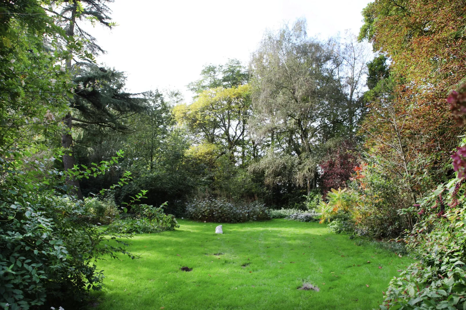 Reedpool 22 pax-Gardens summer