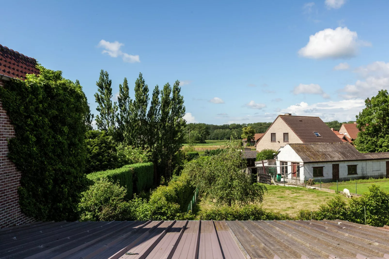 De Snoeibijl-View summer