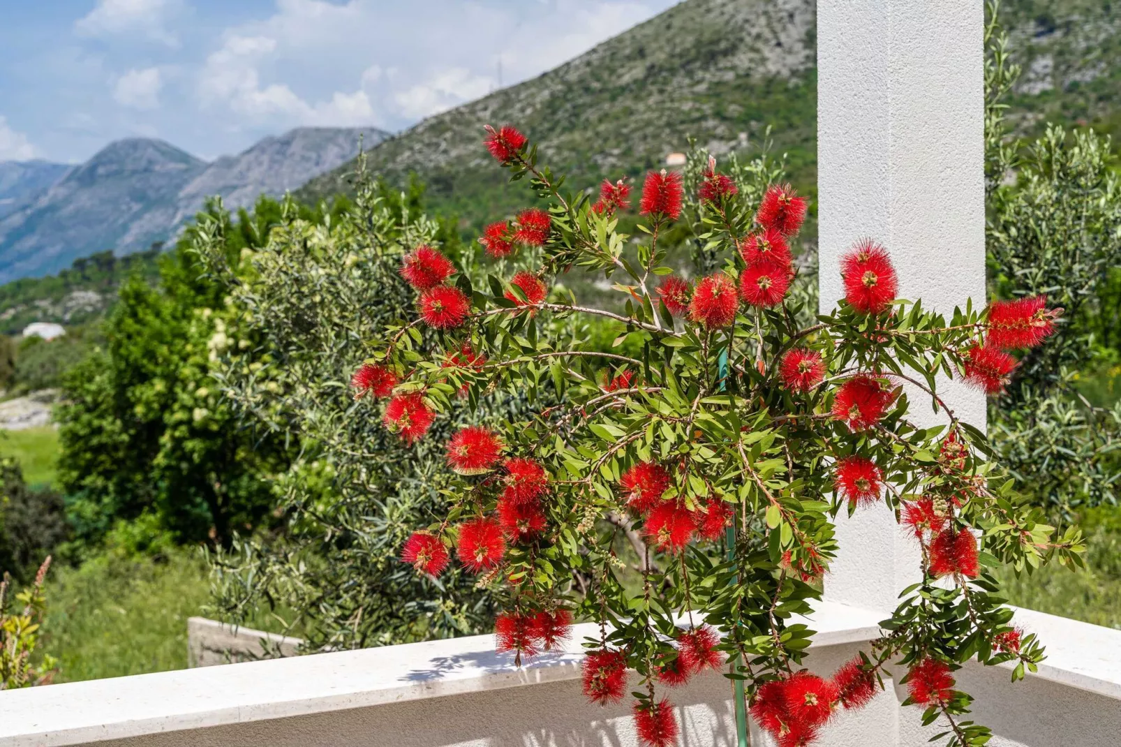 Apartment Doma - Two Bedroom Apartment with Terrace-Indoor